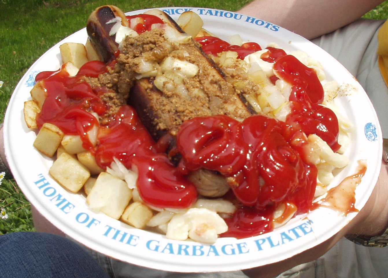 Rochester's Garbage Plate: Controlled Chaos on a Plate (image credits: wikimedia)