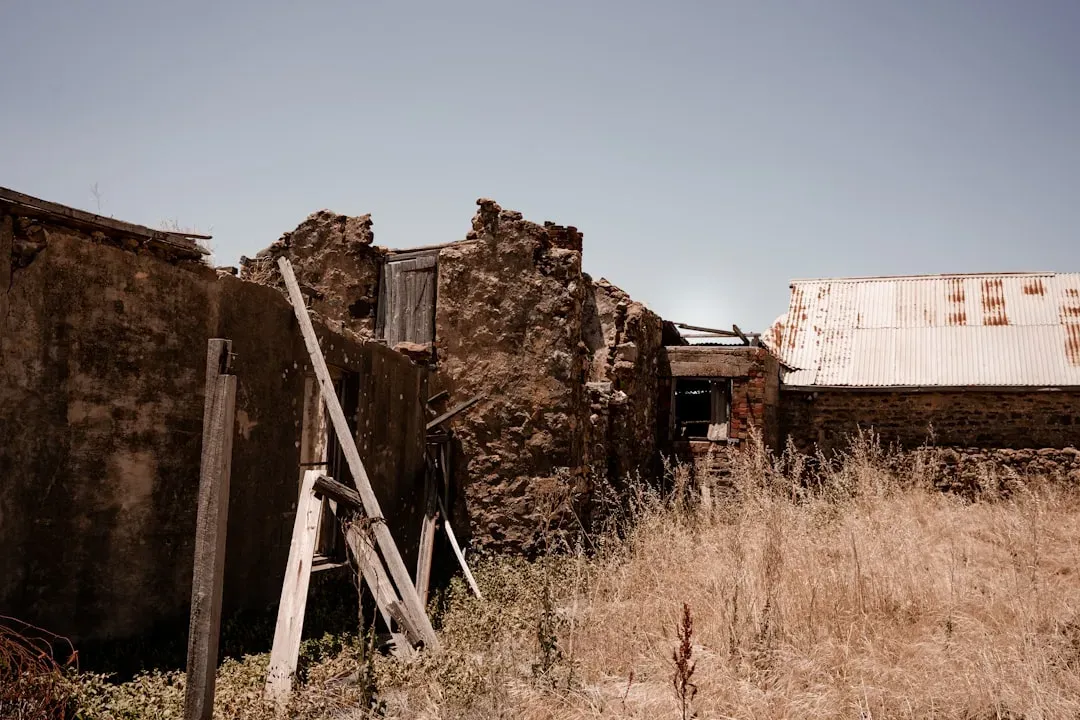 First Glimpse After the Long Sleep (Image Credits: Unsplash)