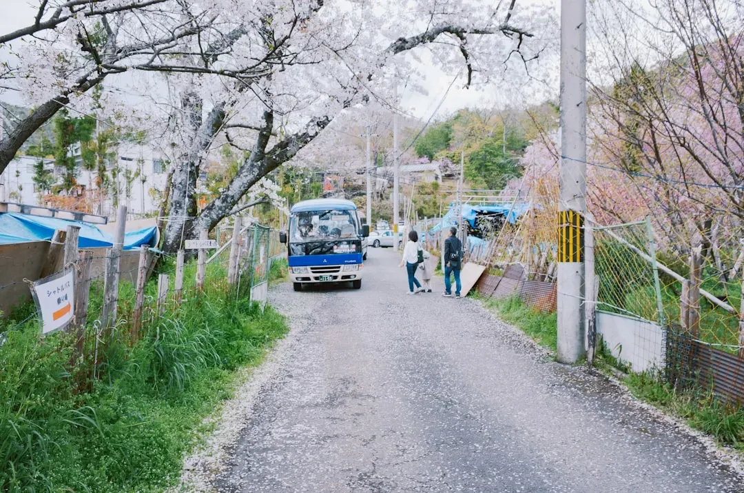 Social Patterns That Mirror Astrological Timing (Image Credits: Unsplash)