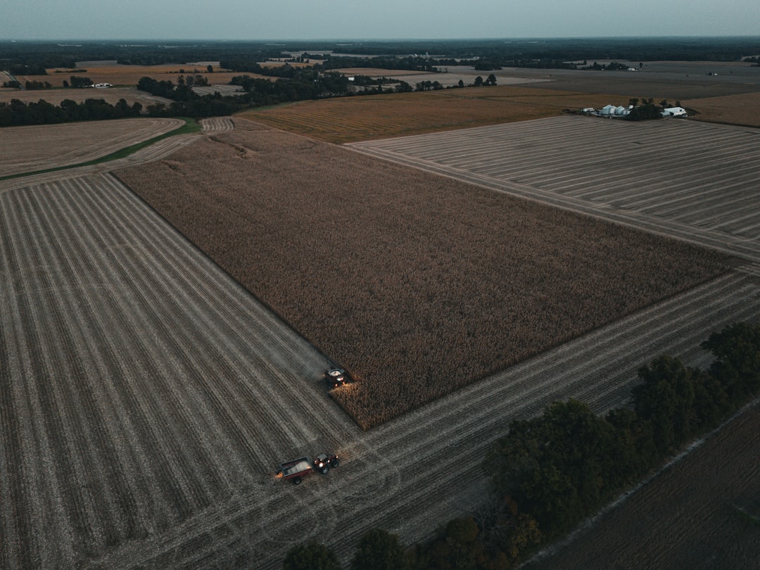 Agriculture Powerhouse in Disguise (image credits: unsplash)