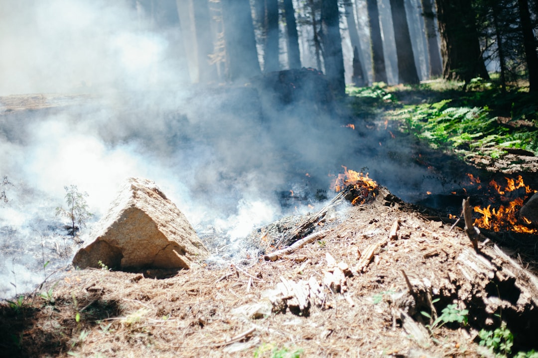 Landscape Resilience Projects Target High-Risk Areas (image credits: unsplash)
