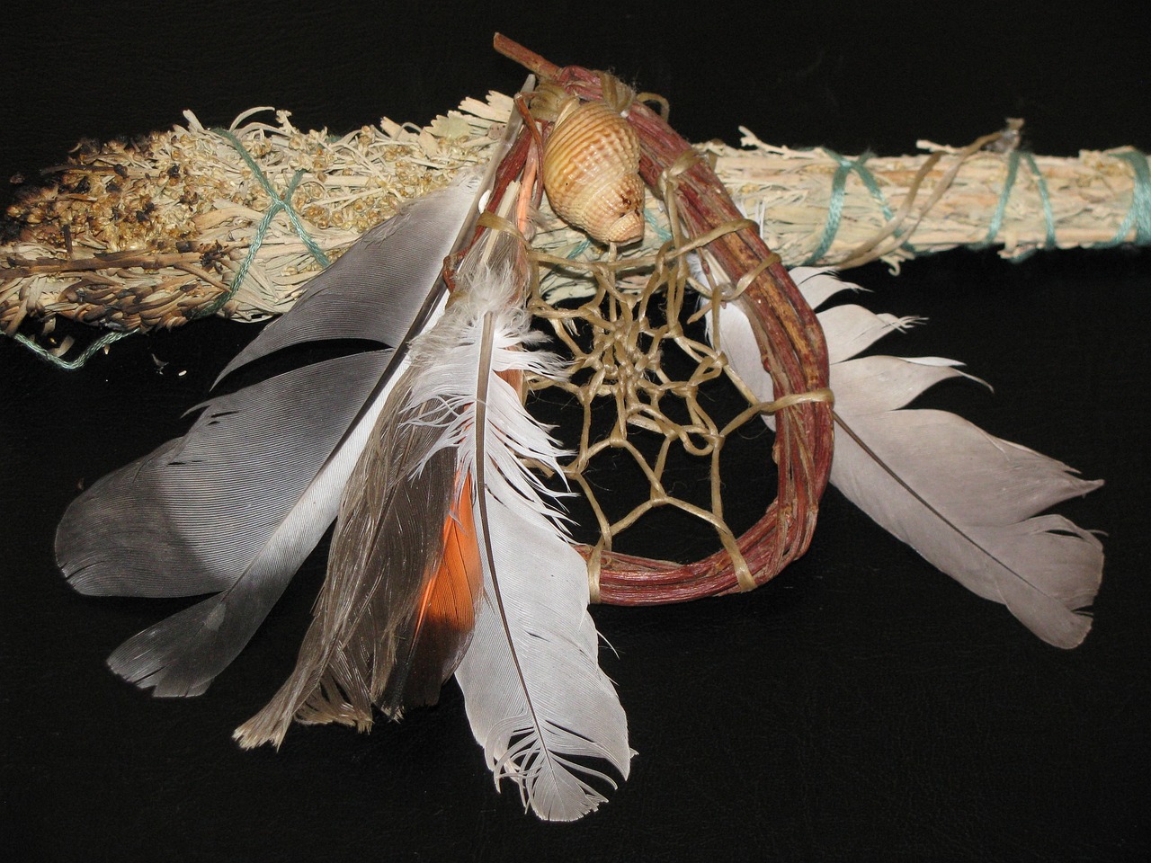 The Trail of Broken Treaties Movement (image credits: pixabay)