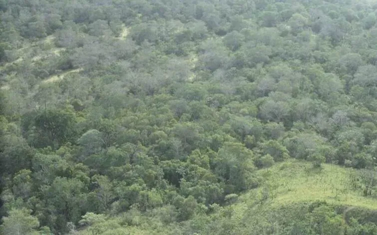 How Laser Technology Is Blowing the Lid Off Ancient America (Transferred from he.wikipedia to Commons., CC BY-SA 2.5)