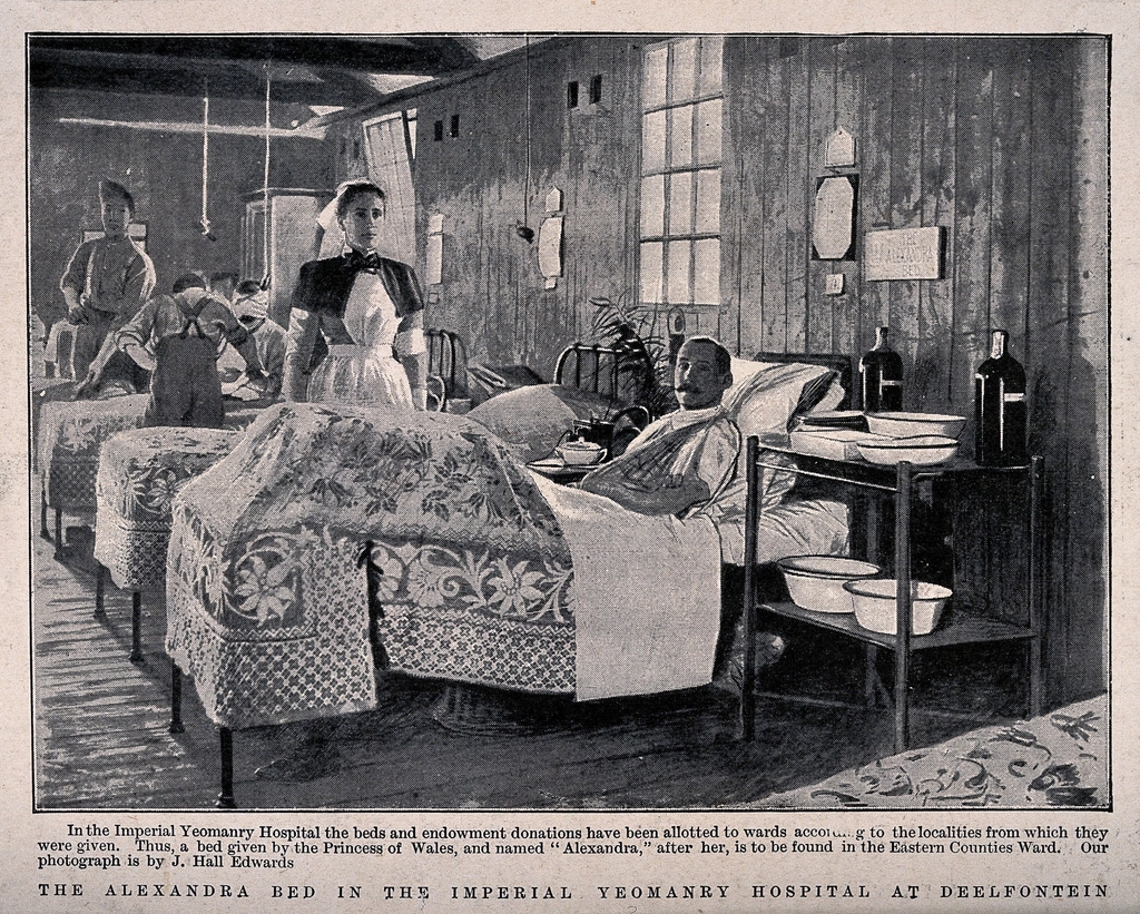 Annie Turner Wittenmyer - The Woman Who Revolutionized Military Hospitals (image credits: rawpixel)