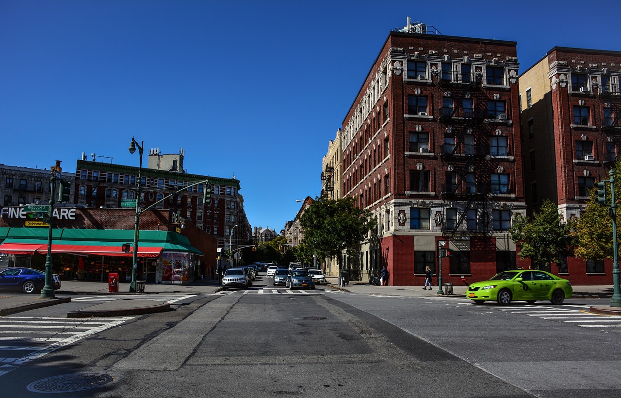Visual Arts and the Harlem Renaissance (image credits: pixabay)