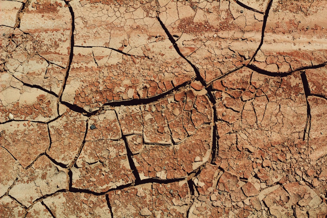 Drought Conditions Spread Across Multiple Regions (image credits: unsplash)