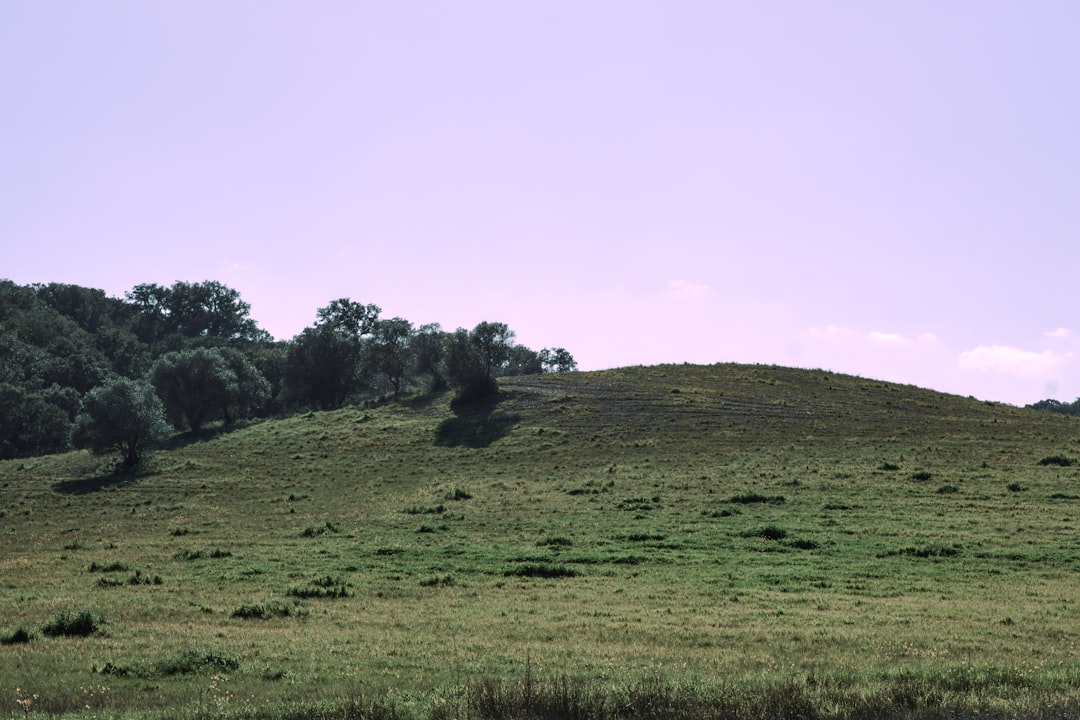 Moundville Archaeological Park, Alabama (image credits: unsplash)