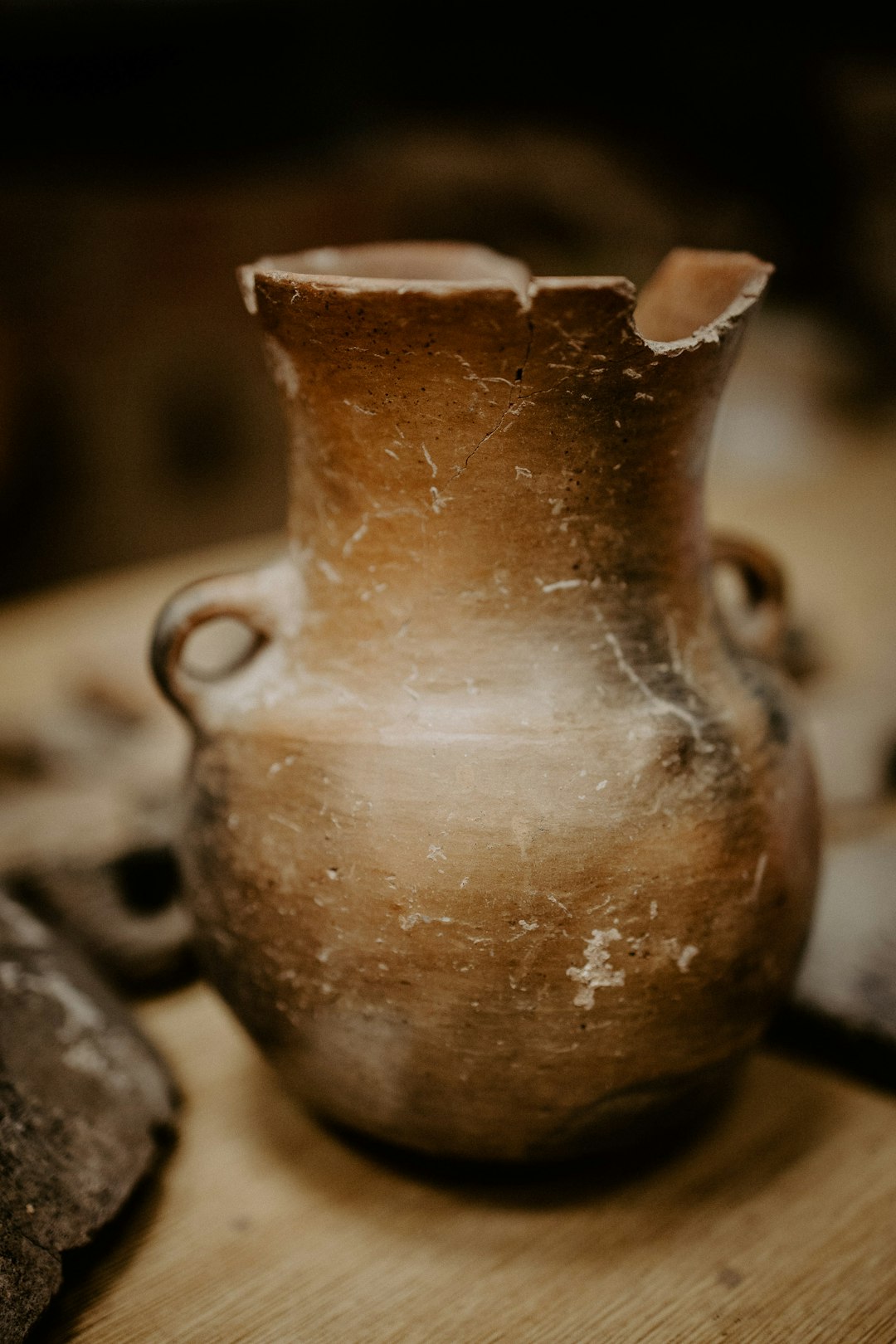 Archaeological Discoveries (image credits: unsplash)