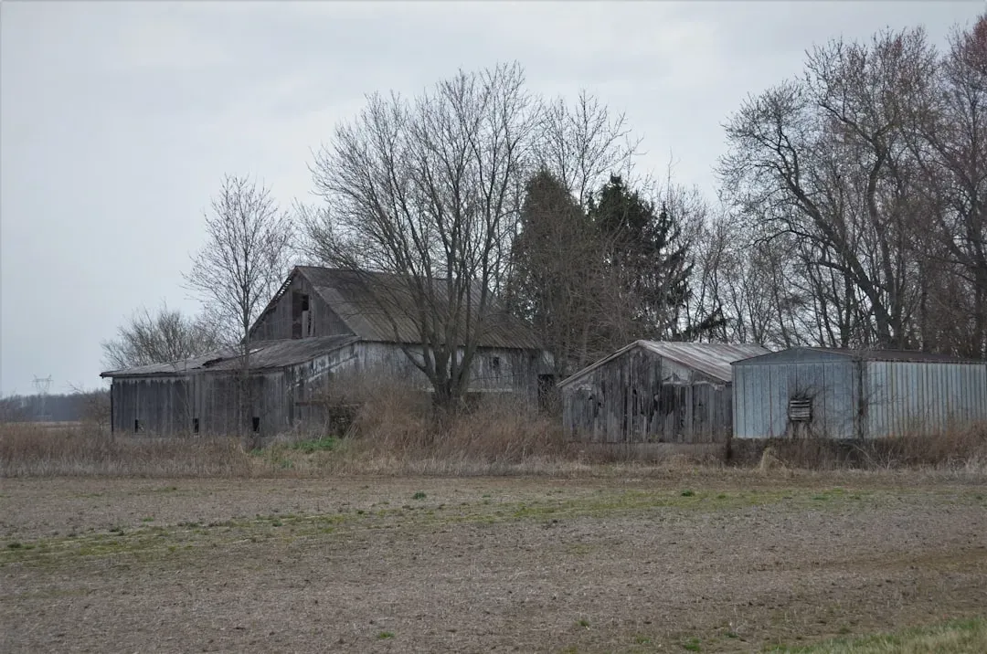 Floydada, Texas: Cotton Kingdom Crumbles (Image Credits: Unsplash)