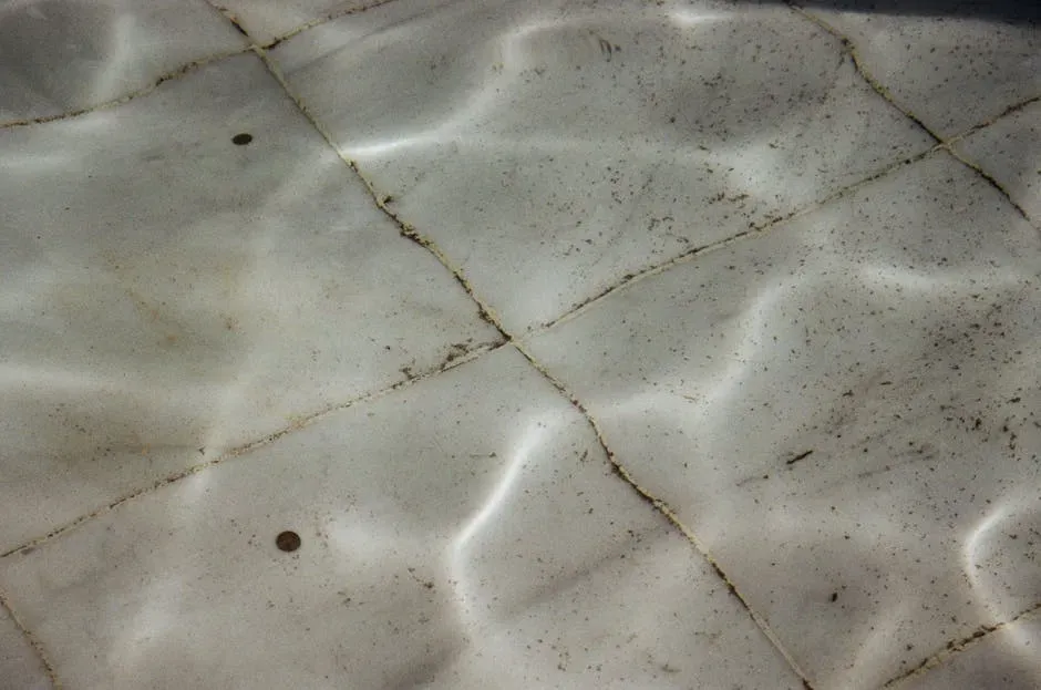 2. Dust, Dirt, and Overall Cleanliness (Image Credits: Pexels)