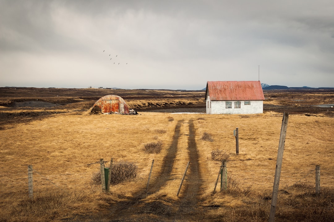 The Broader Scandinavian Story (image credits: unsplash)