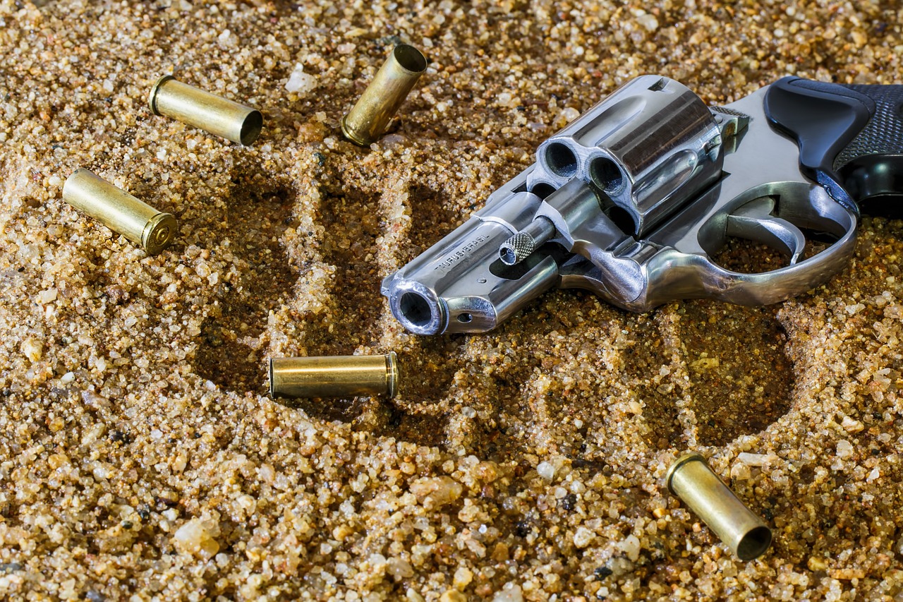 Gun Control Laws: A Patchwork of Contradictions (image credits: pixabay)