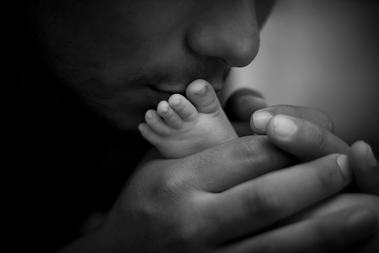 Embracing True Humility (image credits: pixabay)