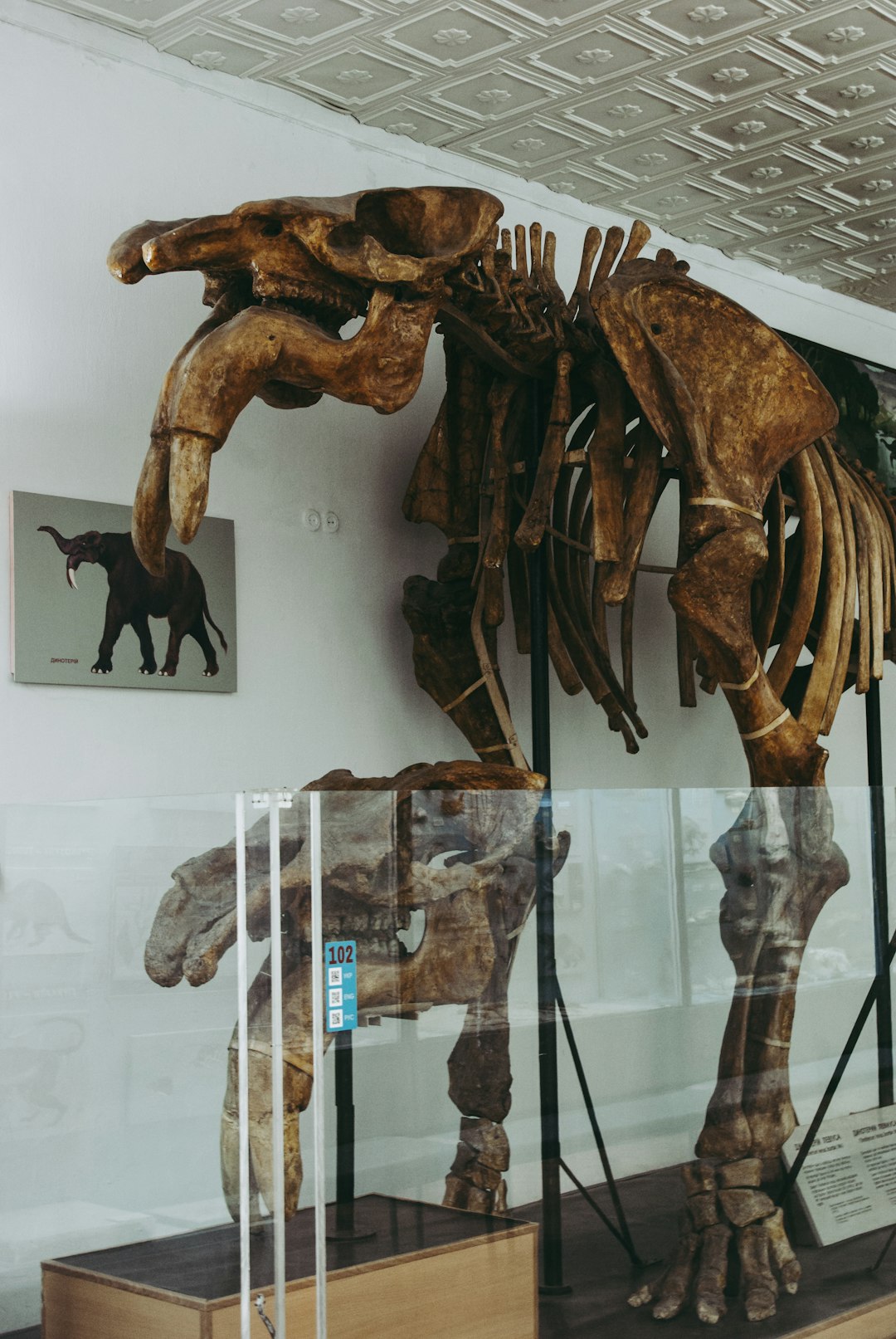 The Future of Dinosaur Research (image credits: unsplash)