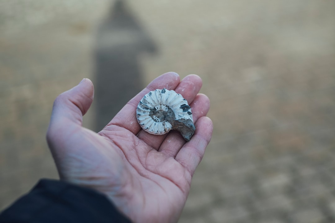 Recent Discoveries That Made Headlines (image credits: unsplash)