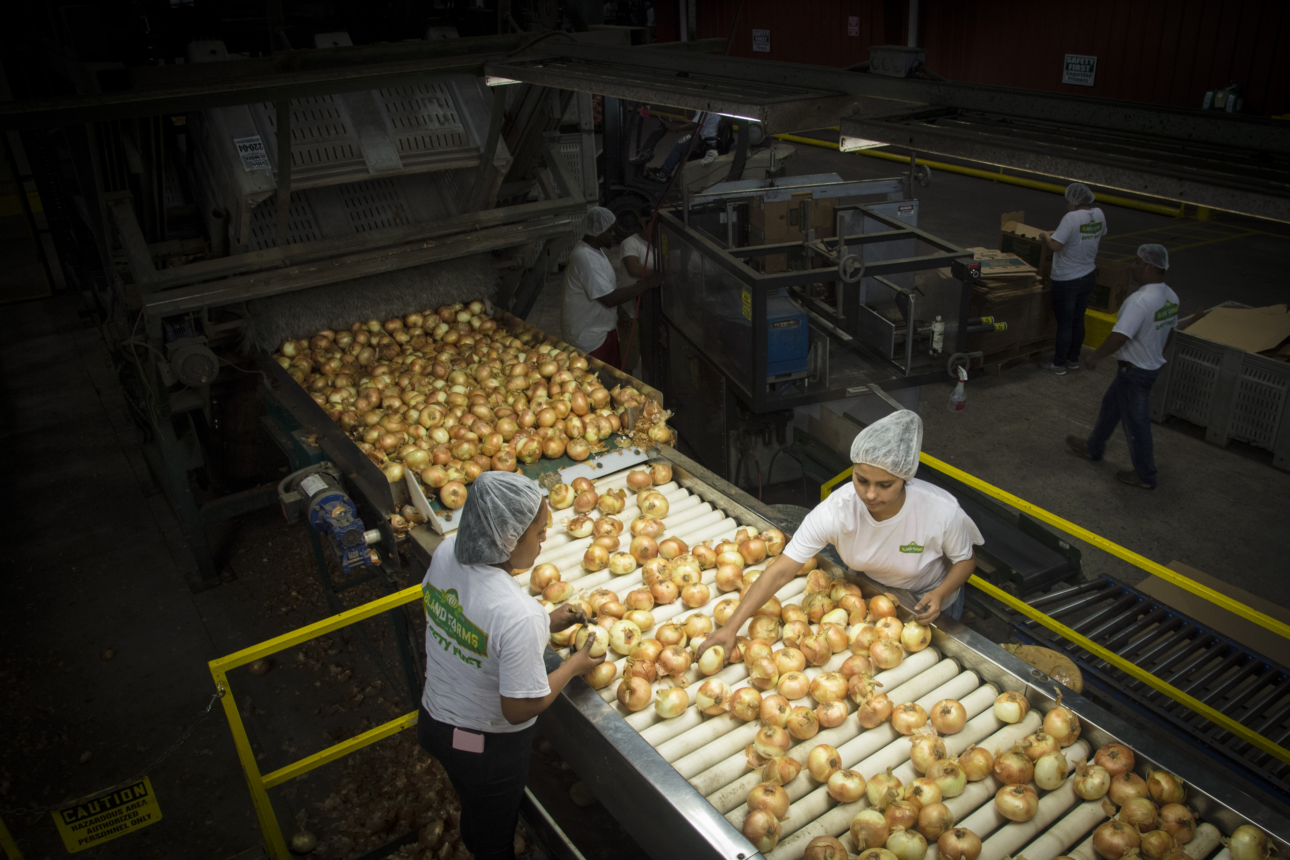 Georgia: Agricultural and Manufacturing Challenges (image credits: wikimedia)