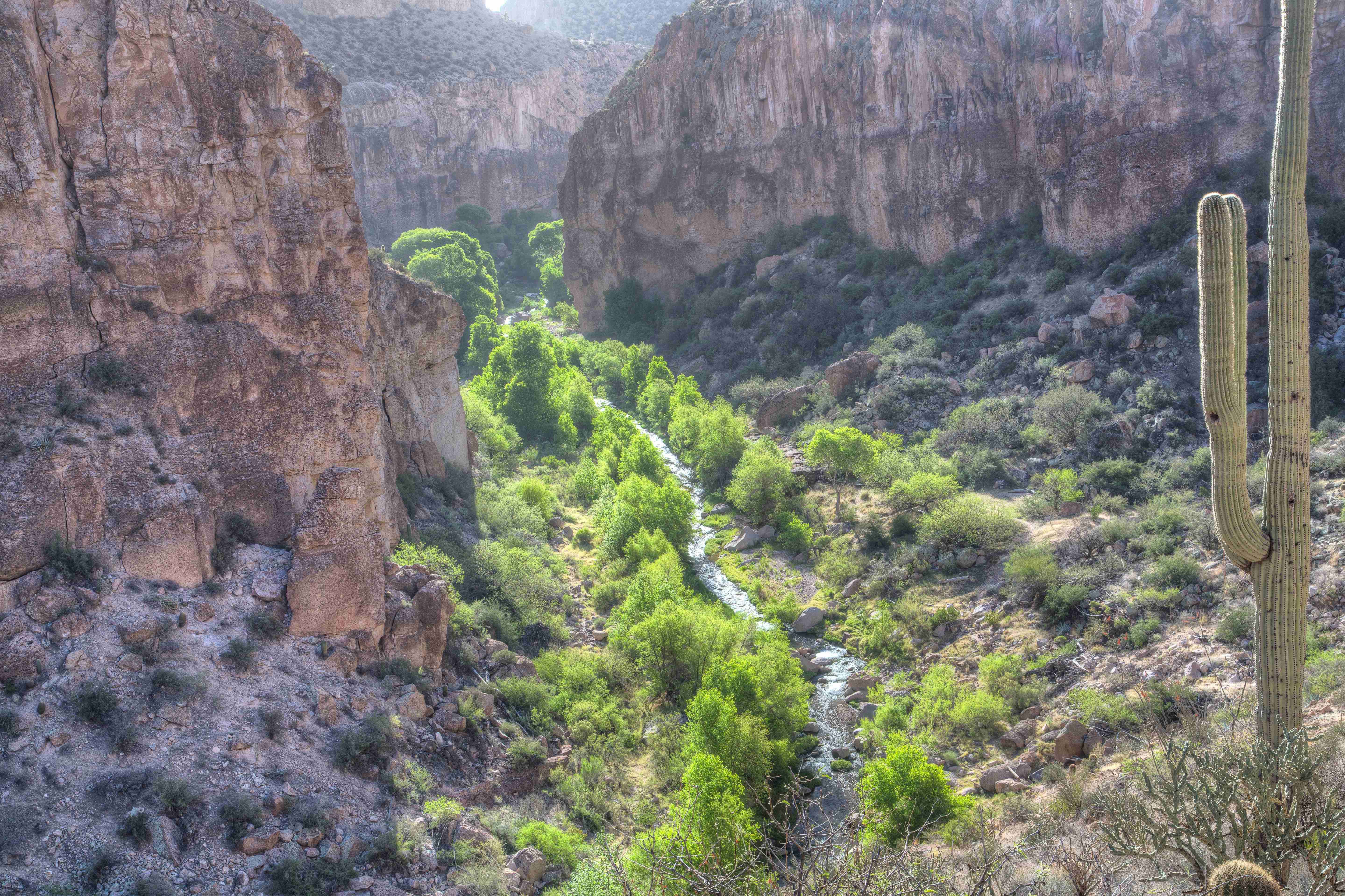 The Secret World of Aravaipa Canyon (image credits: wikimedia)