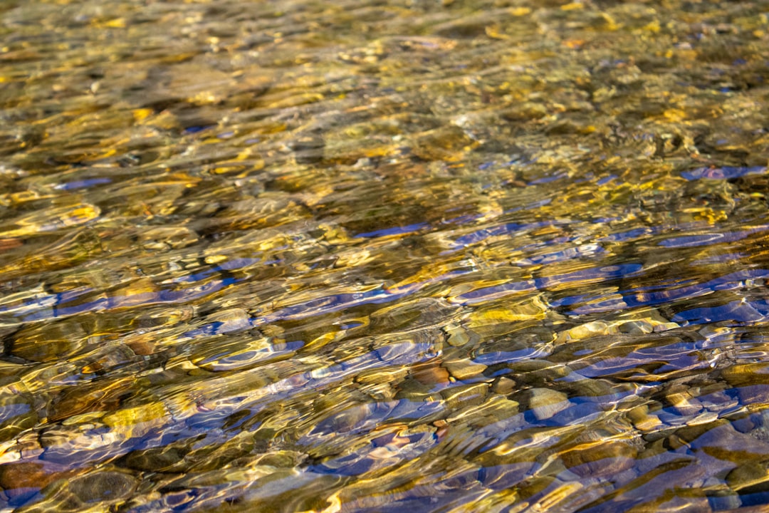 Cripple Creek, Colorado - The World's Greatest Gold Camp (image credits: unsplash)