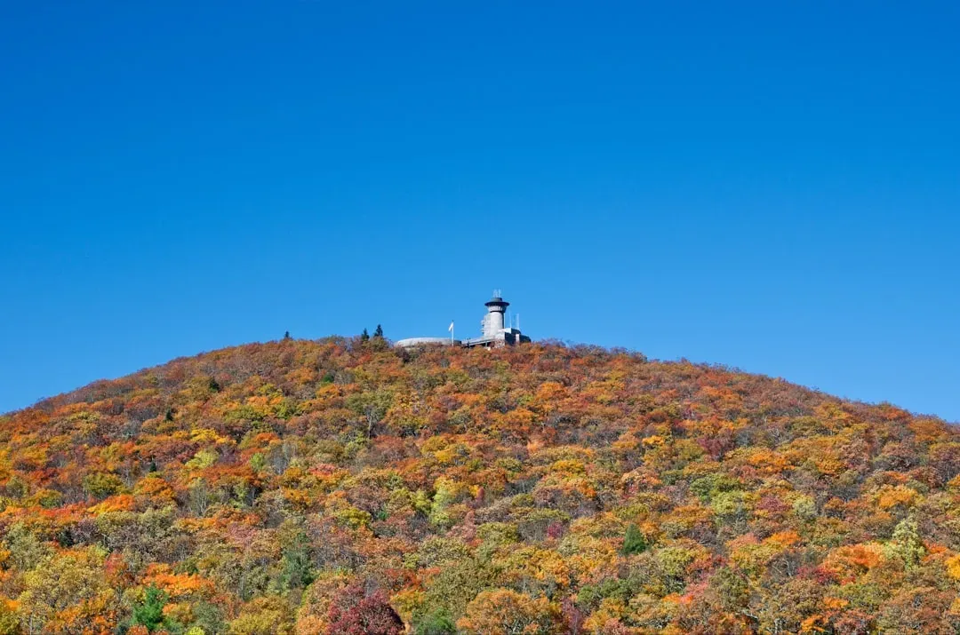 Peak Timing Varies Wildly Even Within One State (Image Credits: Unsplash)