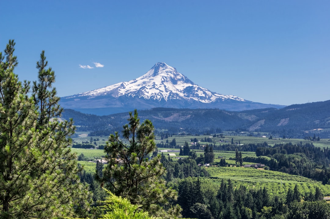 The Hidden Giant: Mount Hood (image credits: unsplash)