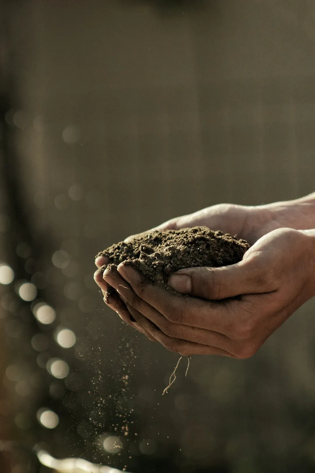 Understanding Your Soil Before You Plant (Image Credits: Unsplash)