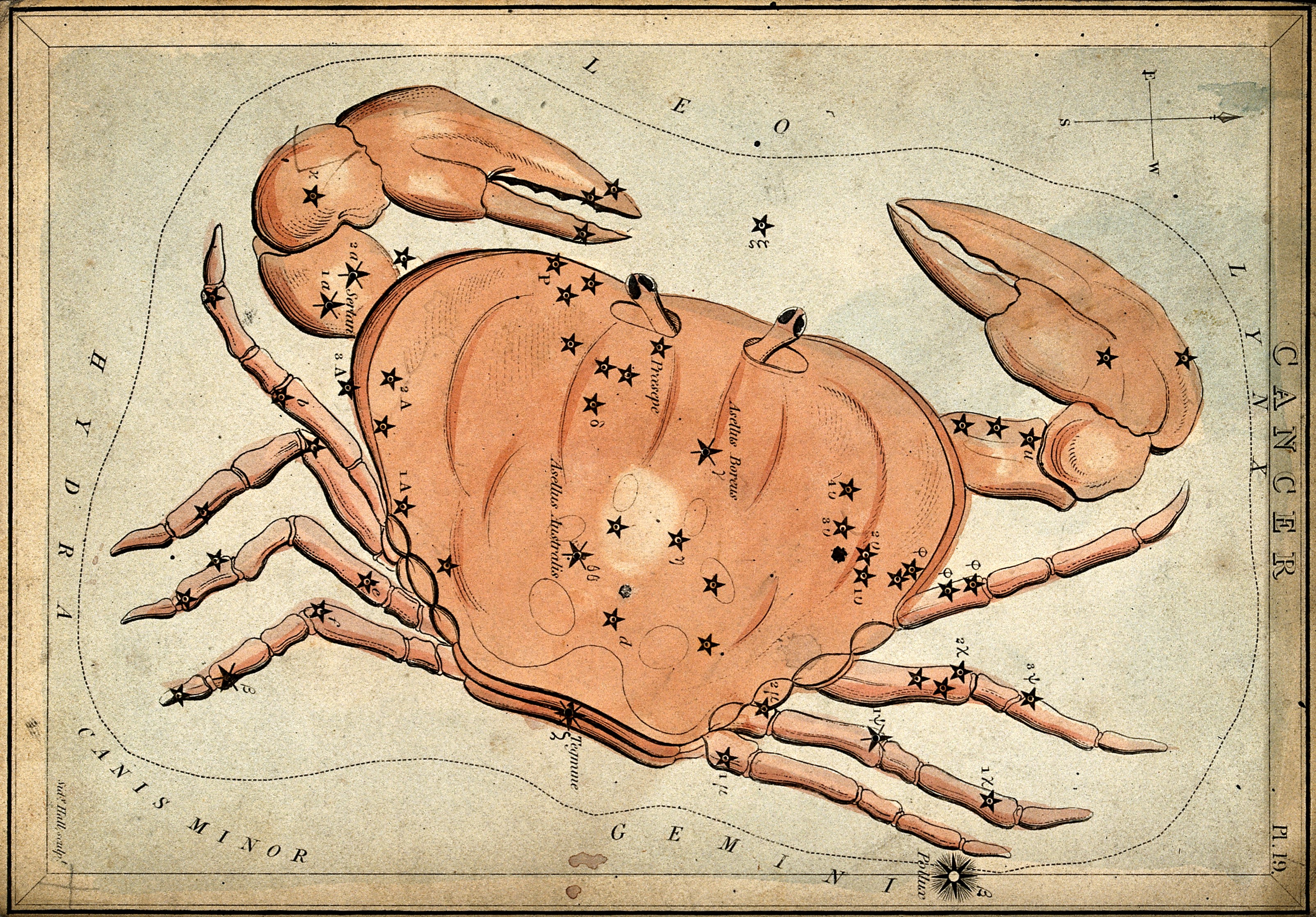 Cancer Becomes the Ultimate Lucky Winner in Summer 2025 (image credits: wikimedia)