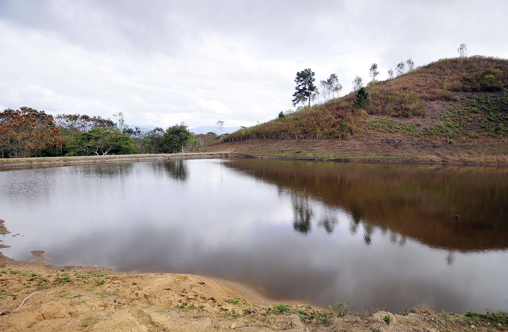Reservoir Levels Reach Critical Thresholds (image credits: flickr)