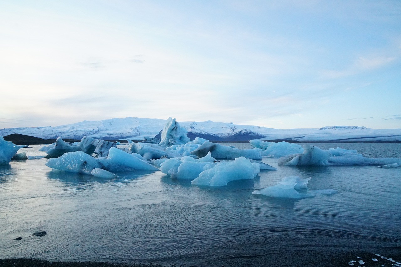 The Role of Climate Change (image credits: pixabay)