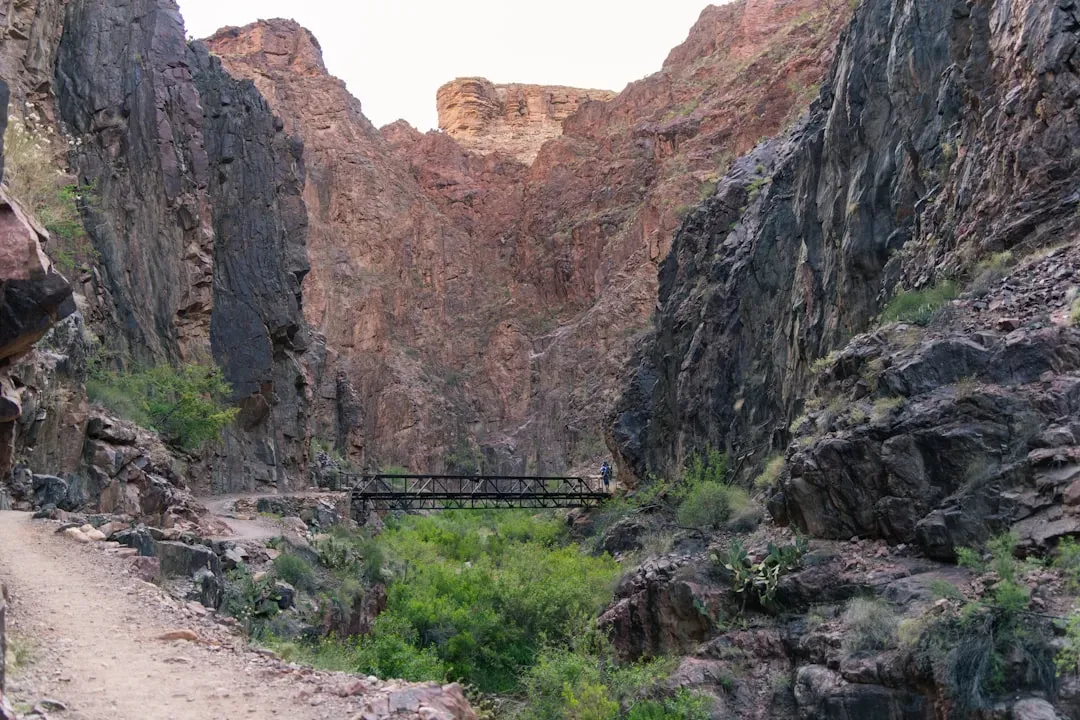 The Historic Lodge: Totaled and Then Some (Image Credits: Unsplash)