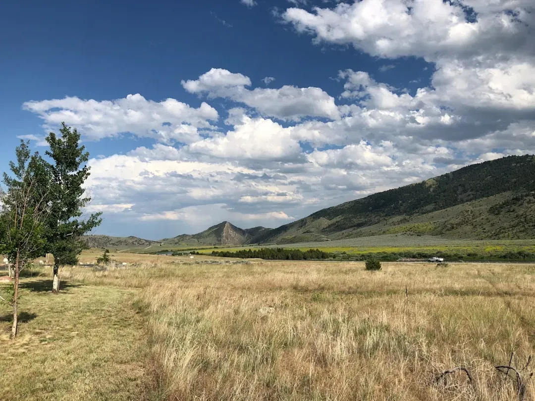 Montana: Invading Personal Space (Image Credits: Unsplash)