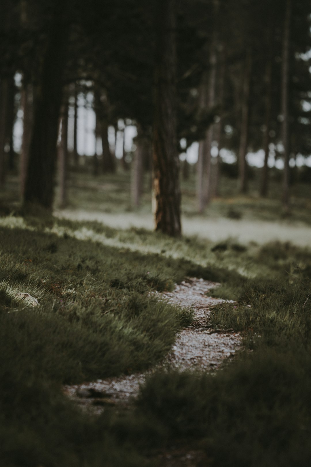 Historical Context (image credits: unsplash)