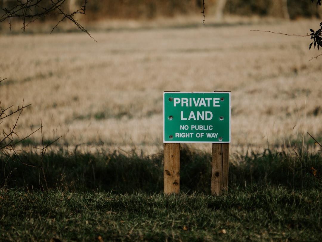 The Lasting Legacy of Lost Laws (image credits: unsplash)