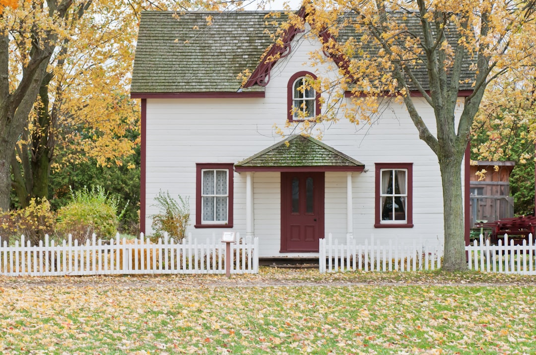 The True Cost of Going Tiny (image credits: unsplash)
