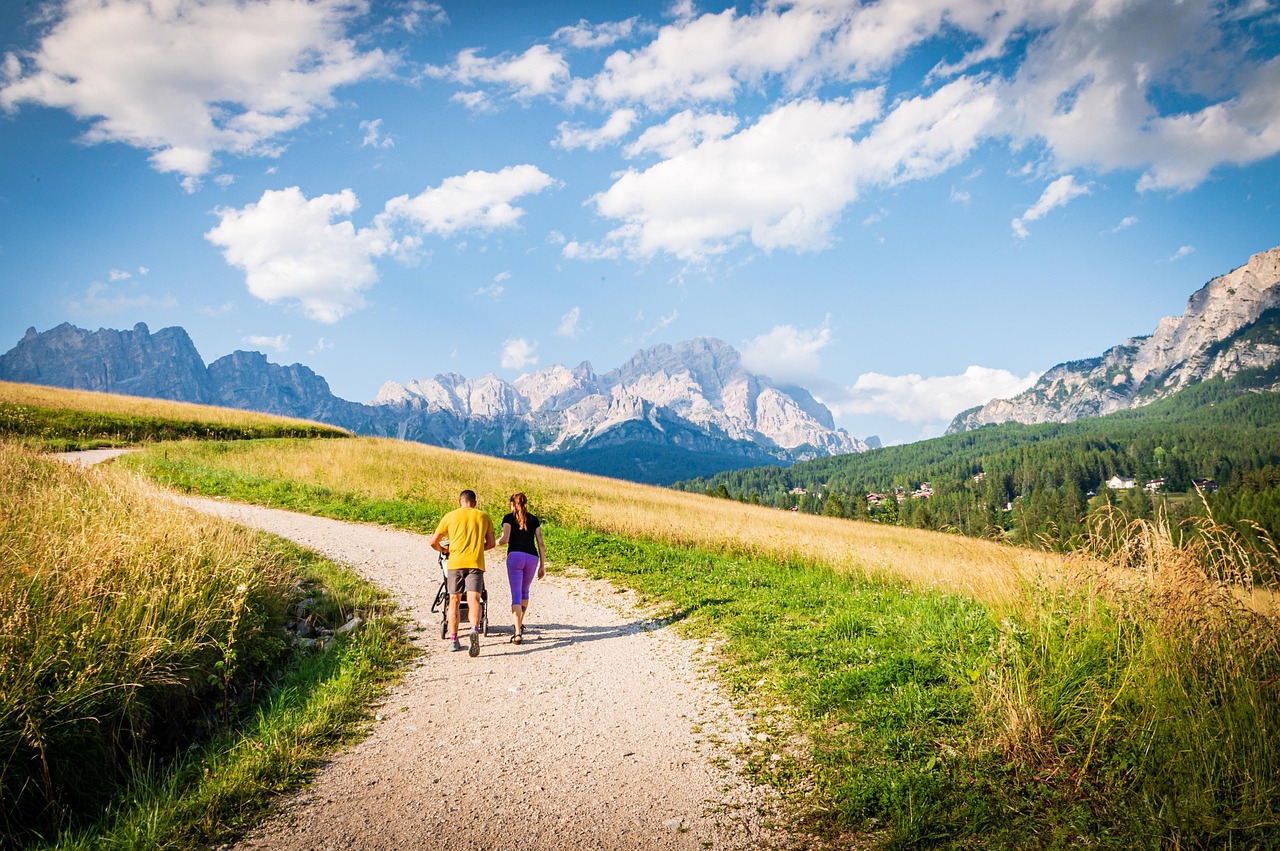 The Future Belongs to the Mountains (image credits: pixabay)