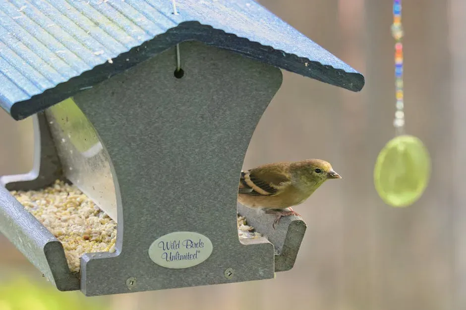 Wrapping It Up: Your Backyard Bird Haven (Image Credits: Pexels)