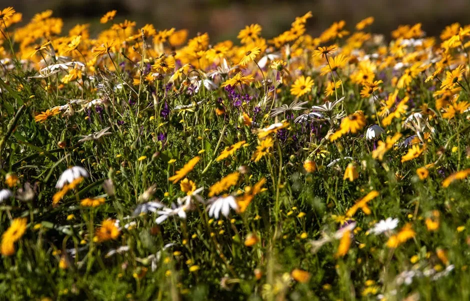 The Crowd Problem Is Very Real (Image Credits: Pexels)