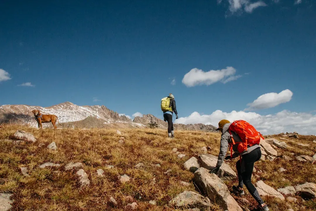Colorado (Image Credits: Unsplash)