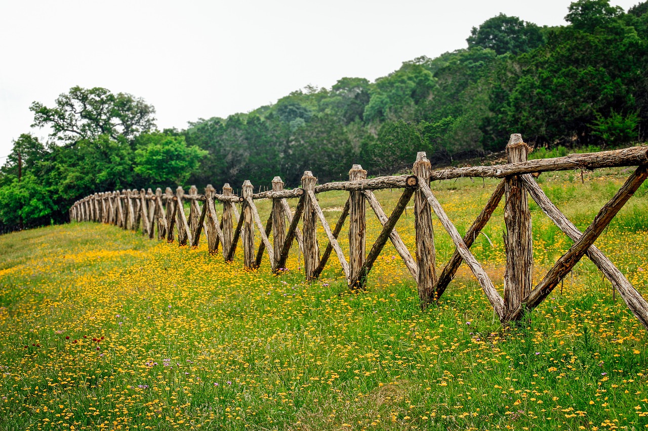 Celina, Texas: Dallas Metro's Rapid Riser (image credits: pixabay)