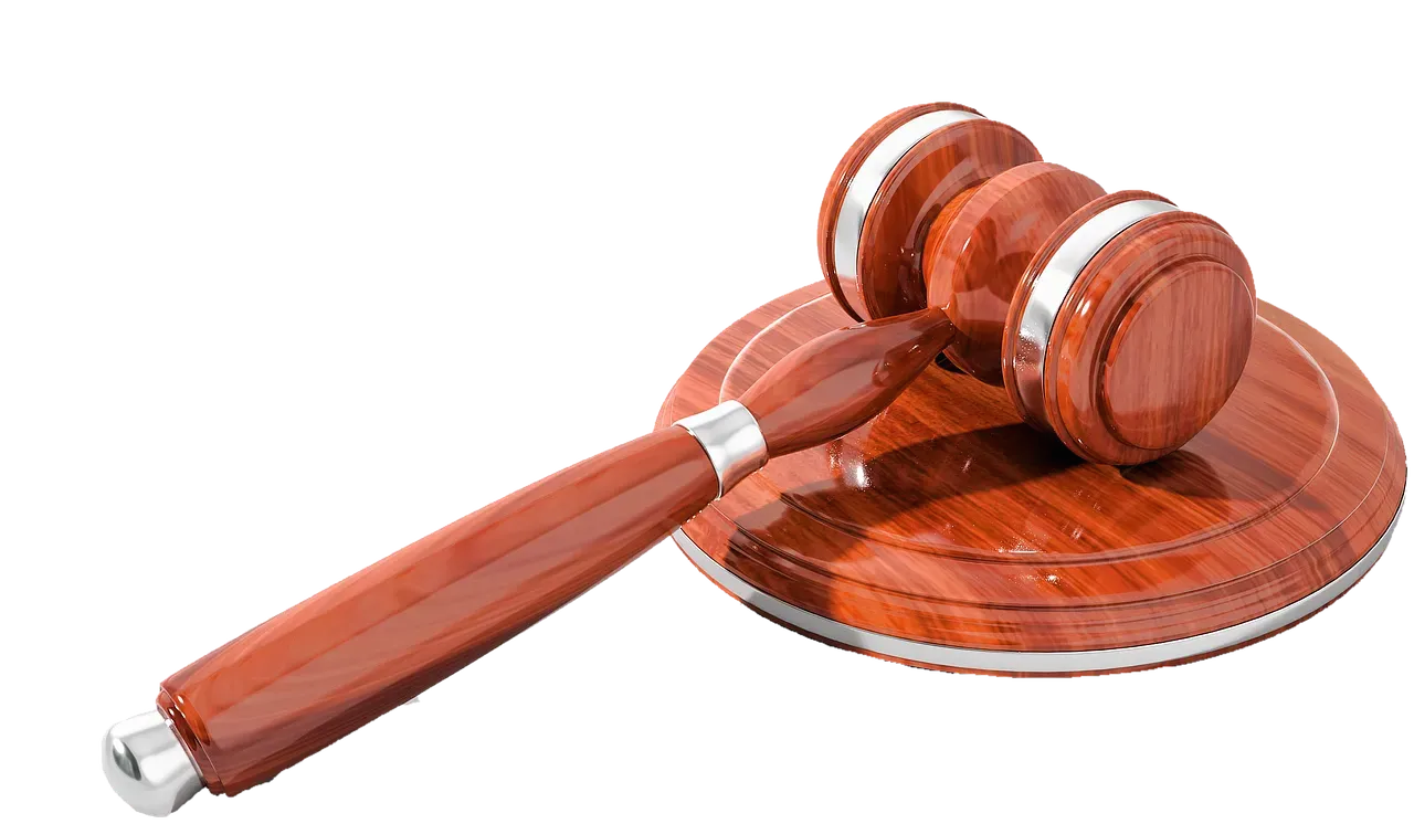 The Auction Euphoria That Blinded Me (Image Credits: Pixabay)