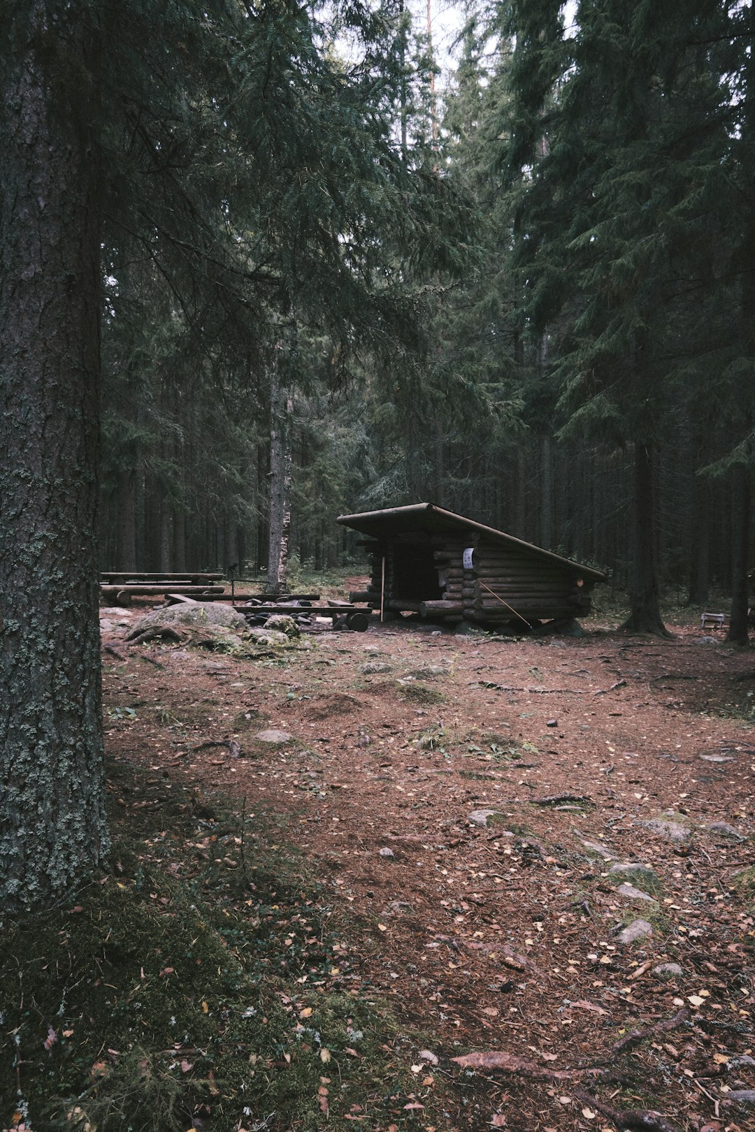 Living History Museums and Reconstructed Settlements (image credits: unsplash)