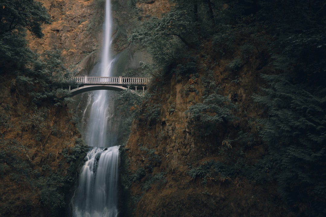 Oregon's Sustainable Fashion Forward (image credits: unsplash)