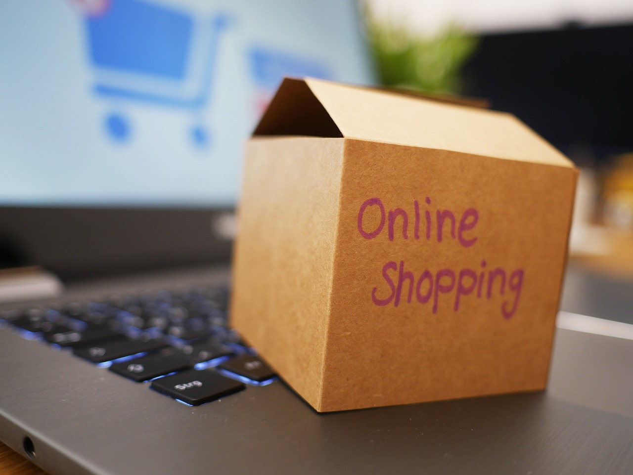 E-commerce Dominance in Pet Product Shopping (image credits: pixabay)