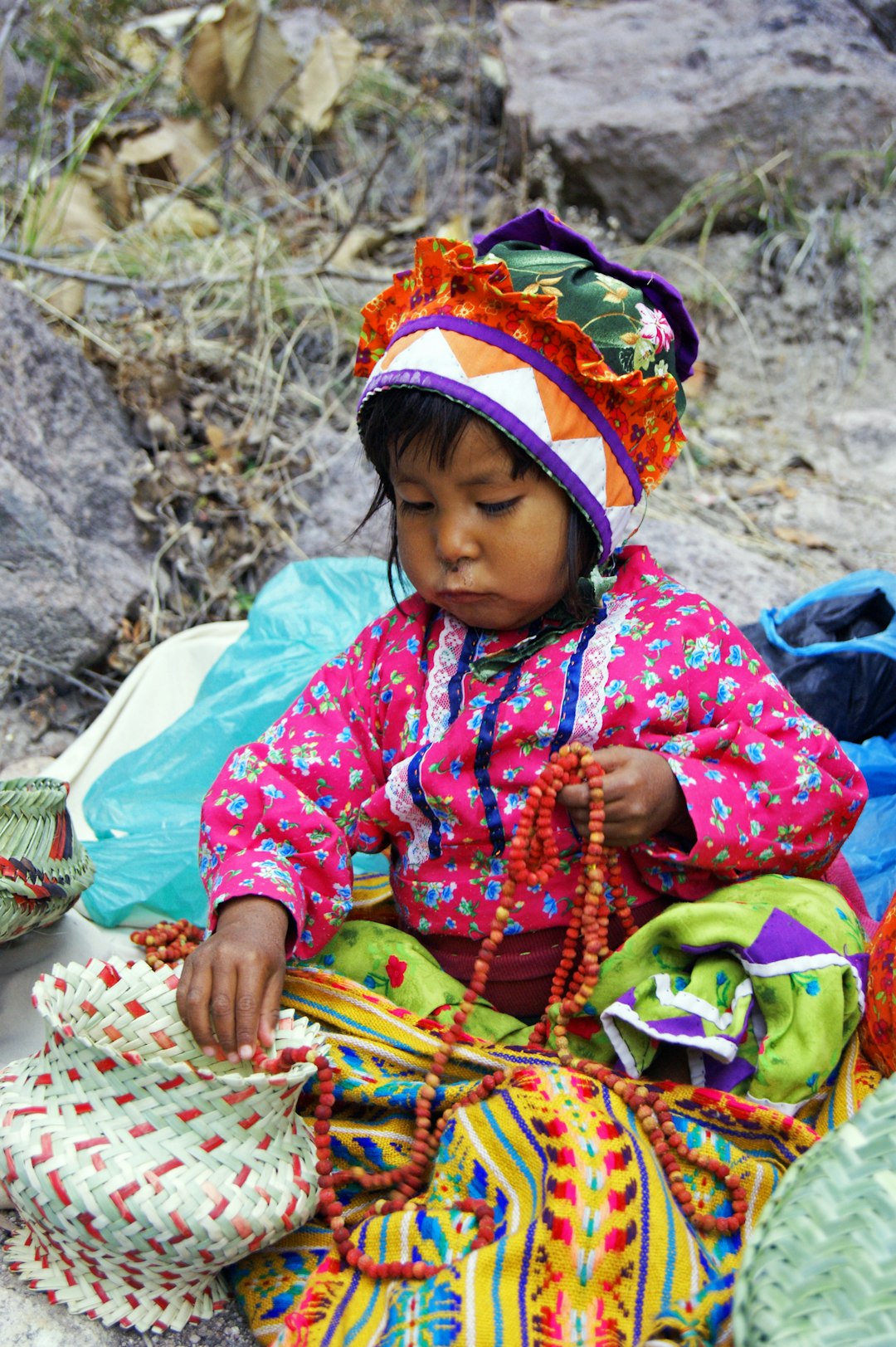 Contemporary Indigenous Voices (image credits: unsplash)