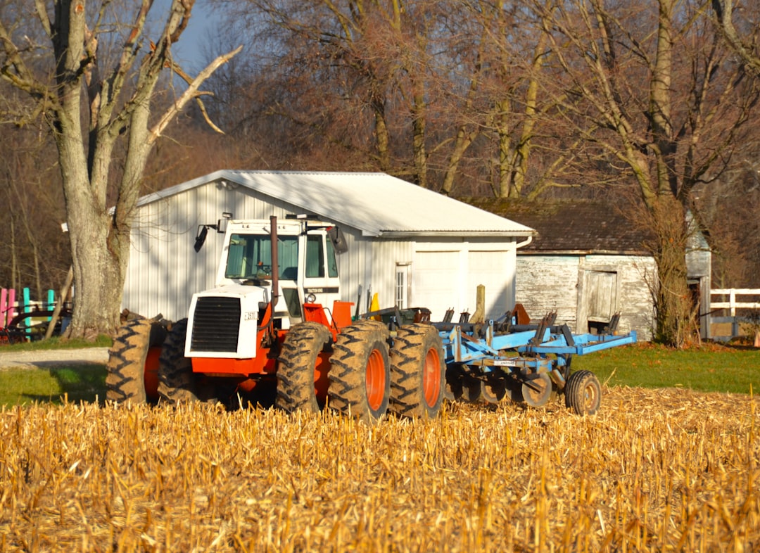Farm Programs That Feed America (image credits: unsplash)
