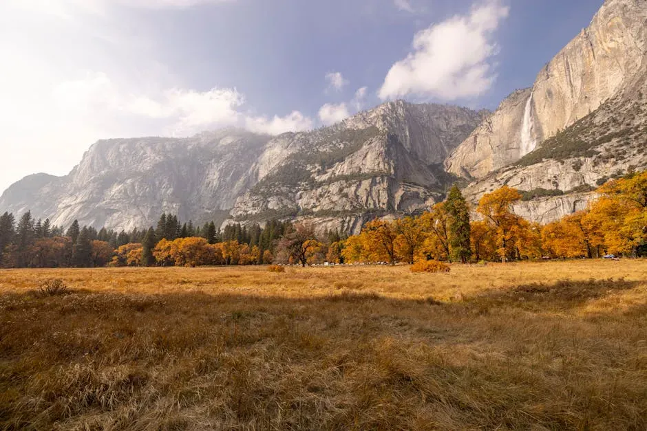 4. The Severed Hand Found in Yosemite Meadow (Image Credits: Pexels)