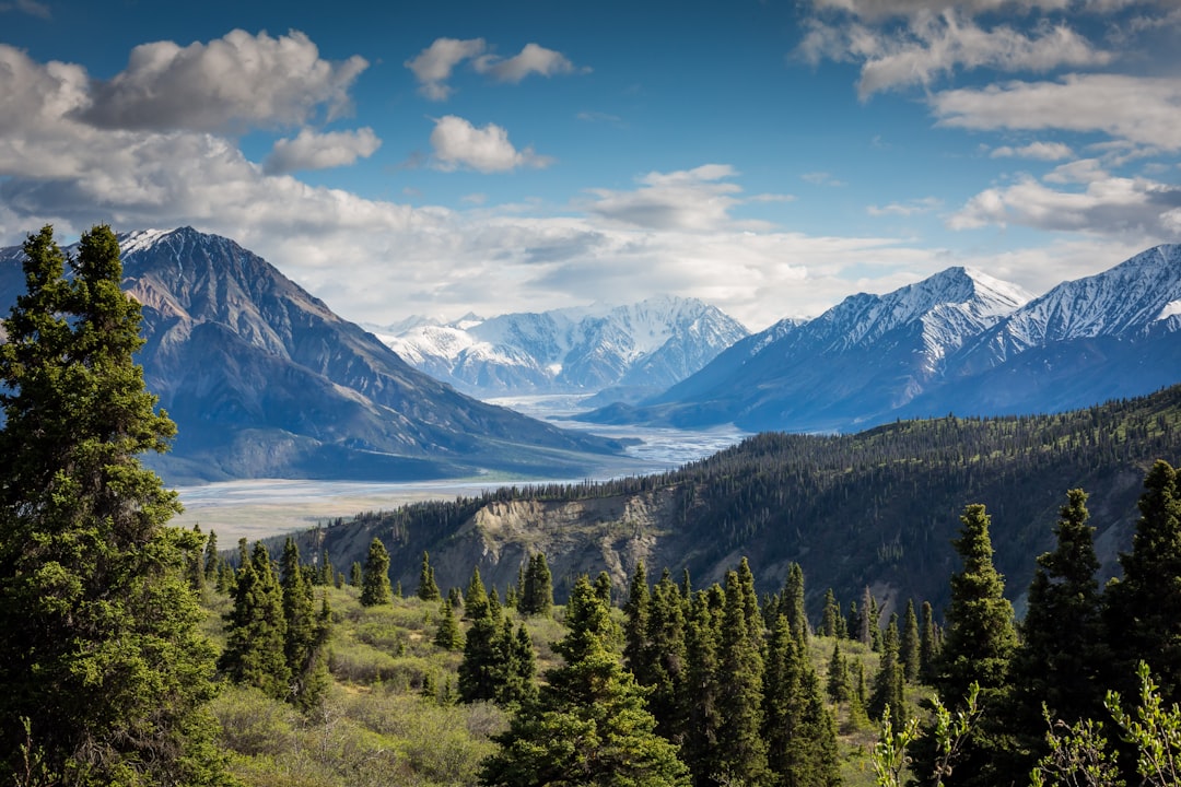 Montana's Geographic Shield (image credits: unsplash)