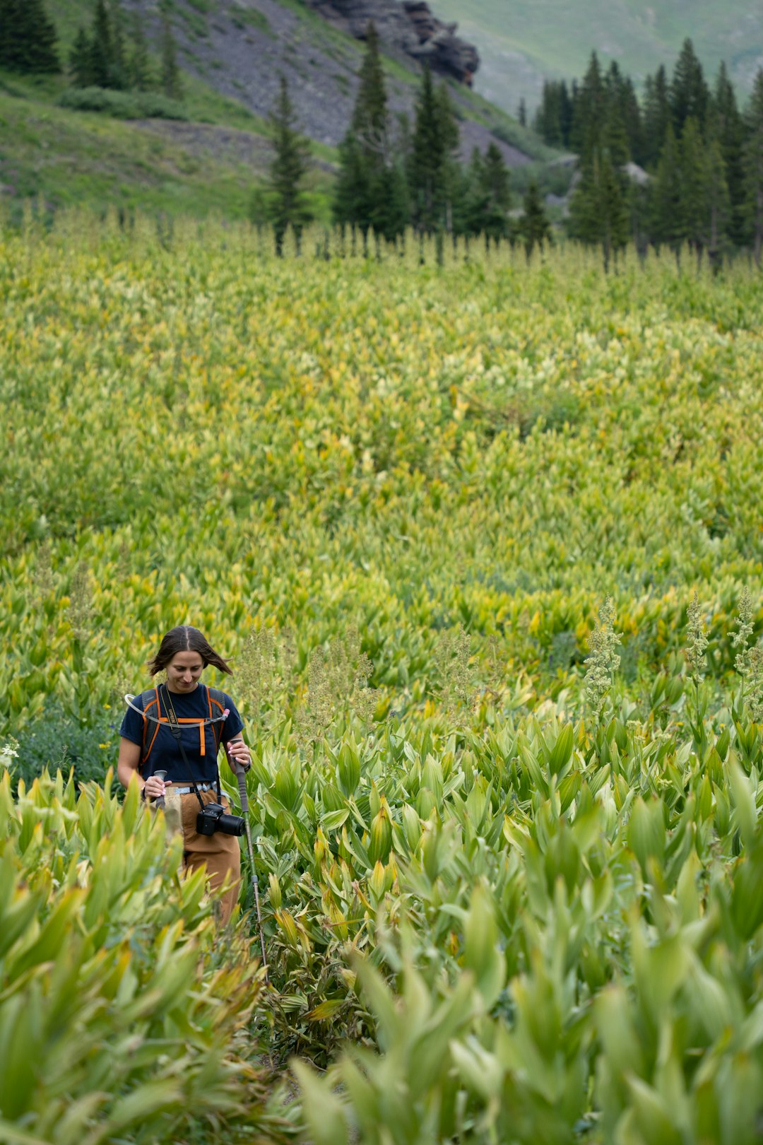 Rural America Rediscovered Through Off-the-Beaten-Path Adventures (image credits: unsplash)
