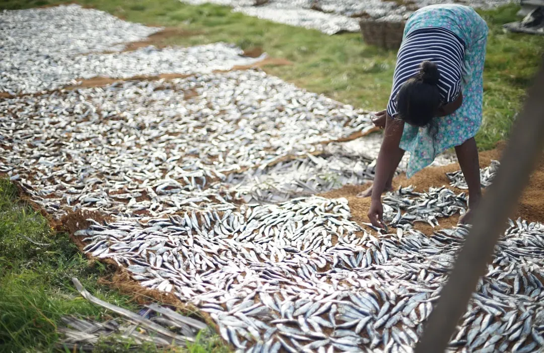 Understanding the Local Multiplier Effect (Image Credits: Unsplash)