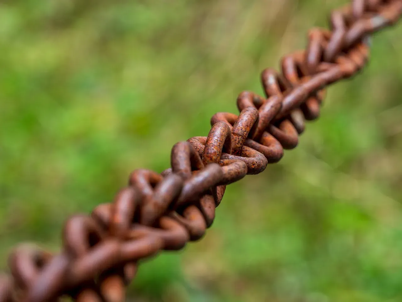 Path Forward: Reclaim Genuine Interactions (Image Credits: Pixabay)