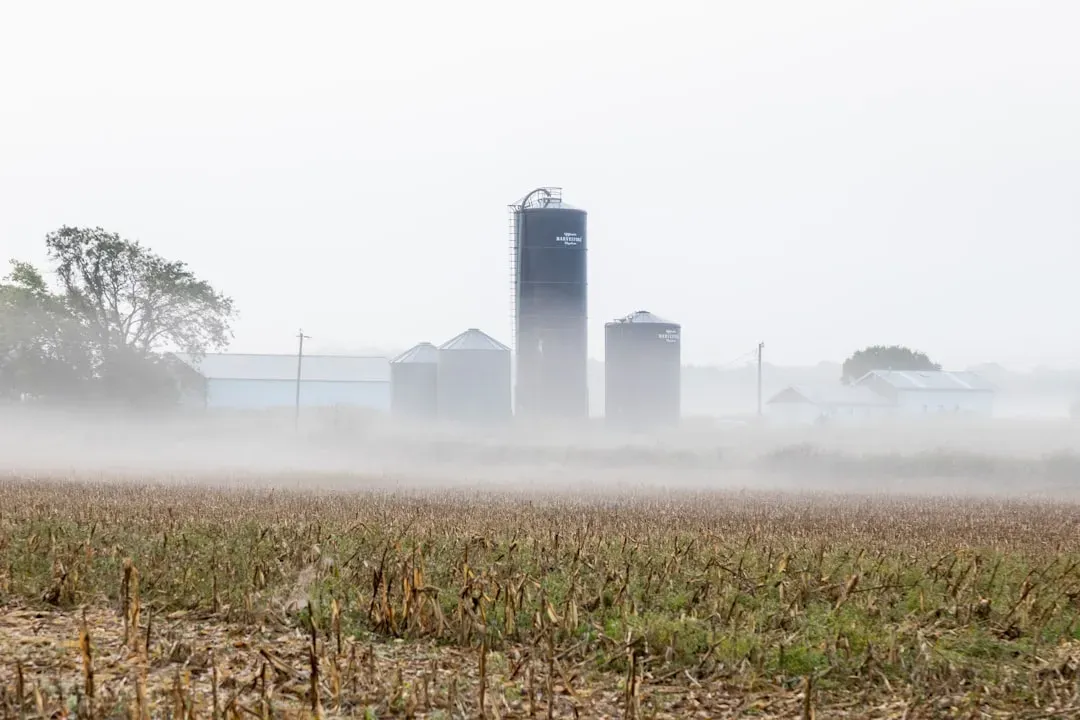 Why Missouri Seemed Like the Perfect Place to Start (Image Credits: Unsplash)